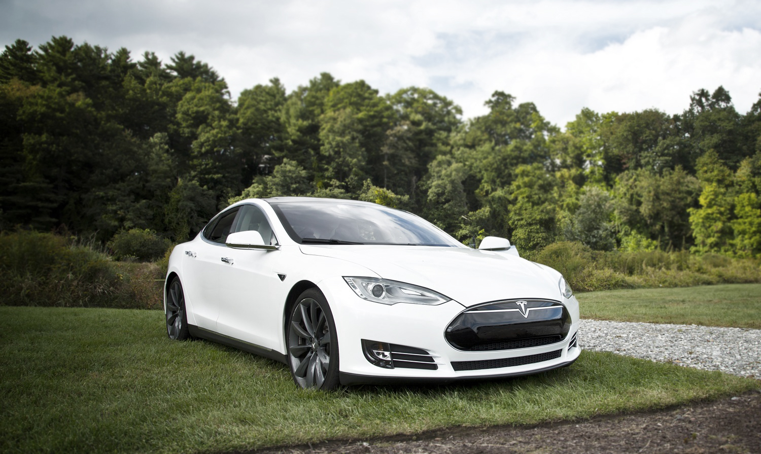 Hvit Tesla